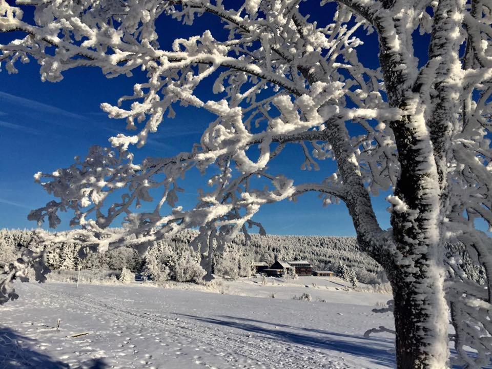 Hotel Jens Weissflog Oberwiesenthal Luaran gambar