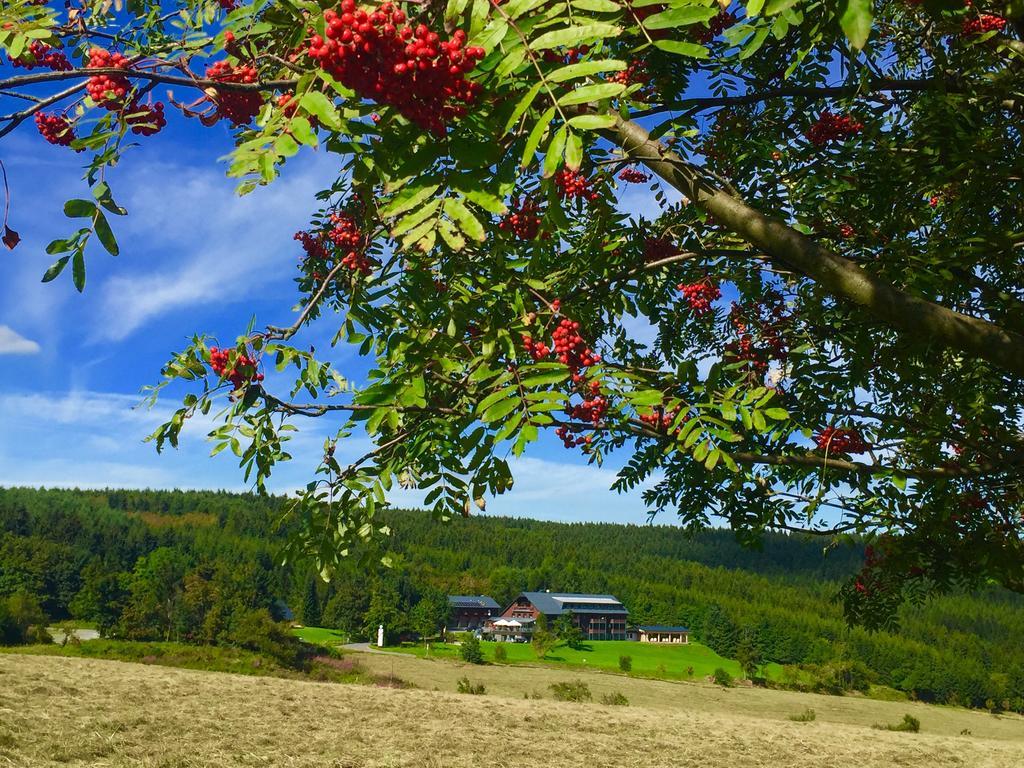 Hotel Jens Weissflog Oberwiesenthal Luaran gambar